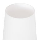 Steinhauer Ancilla Tafell. 1-l. glas white opal E27 3101BR