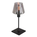 Steinhauer Ancilla Tafell. 1-l.  smoke glas 3102ZW
