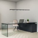 Steinhauer Bloc Hangl.11-l. Led 6w 3297ZW