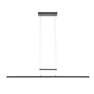 Steinhauer Profilo Hangl. Led dimbaar 3317ZW