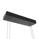 Steinhauer Profilo Hangl. Led dimbaar 3317ZW