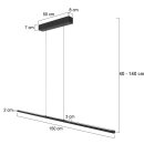 Steinhauer Pendelleuchte Bande Schwarz 3995ZW