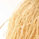 Steinhauer Anne Light & Home Pendelleuchte Grass Beige 3819BE