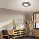 Steinhauer Anne Light & Home Deckenleuchte Aura Schwarz 3866ZW
