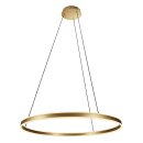Steinhauer Pendelleuchte Ringlux Goldfarben 3675GO