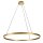 Steinhauer Pendelleuchte Ringlux Goldfarben 3676GO