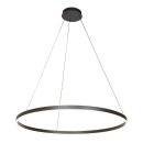 Steinhauer Pendelleuchte Ringlux Schwarz 3676ZW