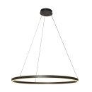 Steinhauer Pendelleuchte Ringlux Schwarz 3676ZW