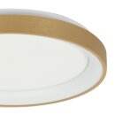 Steinhauer Deckenleuchte Ringlede Goldfarben 3691GO