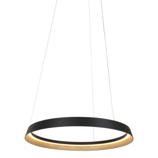 Steinhauer Pendelleuchte Ringlux Schwarz 3692ZW