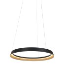 Steinhauer Pendelleuchte Ringlux Schwarz 3692ZW
