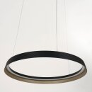 Steinhauer Pendelleuchte Ringlux Schwarz 3692ZW