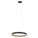 Steinhauer Pendelleuchte Ringlux Schwarz 3692ZW