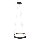 Steinhauer Pendelleuchte Ringlux Schwarz 3692ZW
