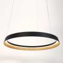 Steinhauer Pendelleuchte Ringlux Schwarz 3692ZW