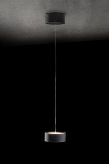 Holtkötter LED-Pendelleuchte Favor 2051-1 - Up-/Downlight 2750Lumen, dim to warm, versch. Farben