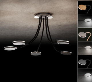 Holtkötter LED-Deckenleuchte Flex D5 Aluminium Matt / Schwarz, 9925/5-795 Ausstellungsstück TOP