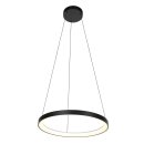 Steinhauer Hangl. Lumex 33W 2700K 58cm
