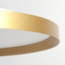 Steinhauer Plaf. Flady 30cm gold