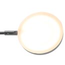 Steinhauer Vloerl. 1-l. Soleil battery