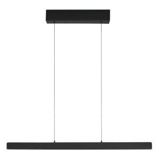 Steinhauer Hangl. led 27w up en down