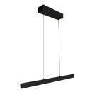 Steinhauer Hangl. led 27w up en down