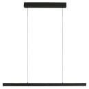 Steinhauer Hangl. led 39w up en down
