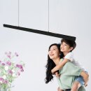 Steinhauer Hangl. led 39w up en down