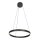 Steinhauer Hangl. cirkel cable lift