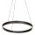 Steinhauer Hangl. cirkel cable lift
