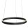 Steinhauer Hangl. cirkel cable lift