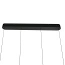 Steinhauer Hangl. 2-L.cable lift