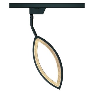 Oligo Smart.Point System- Strahler Flavia / Schwarz matt 3000K transluzent- 20-870-19-23