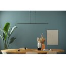 Hangl. Led dimbaar