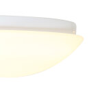 Plaf. glas 30cm opal mat
