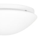 Plaf. glas 30cm opal mat