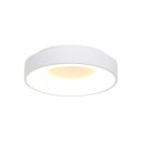 Steinhauer Ceiling and wall Plaf. rond 38cm 30w 2700k 2562W