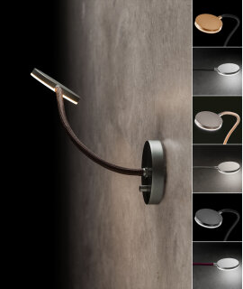 Holtkötter LED-Wandleuchte Flex W Schwarz / Grau, mit Drehdimmer 9922-1-554