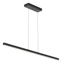 SteinhauerHangl. 1-l. led 2700K *M*