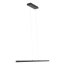 SteinhauerHangl. 1-l. led 2700K *M*