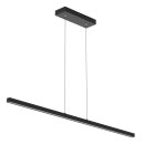 SteinhauerHangl. 1-l. led 2700K *M*
