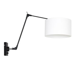 Steinhauer7396ZW + K7396QS